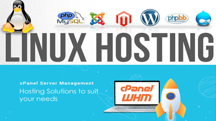 Discover the Best & Fastest WordPress Website Hosting in India.