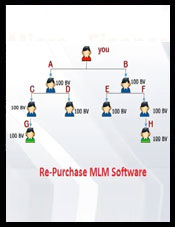 Australian Binary Plan MLM Software
